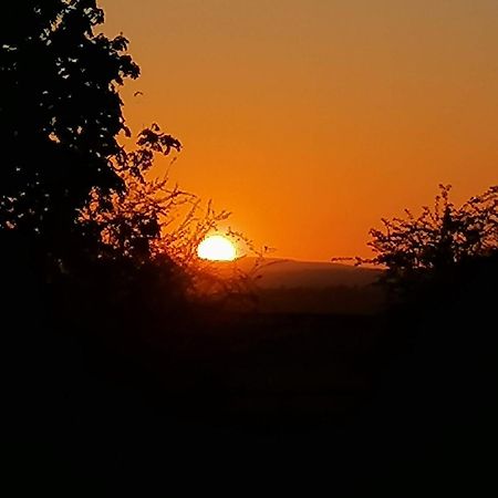 Stargazer Glamping Uk The Mahal 8 People Hotel Ross-on-Wye ภายนอก รูปภาพ
